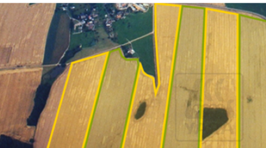 Ertrag und Pflanzenqualität steigern