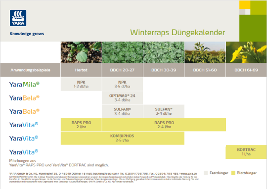 Düngekalender für Raps