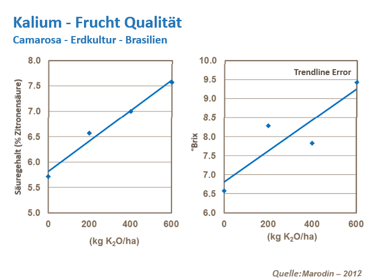 Erbeerqualität 2.png