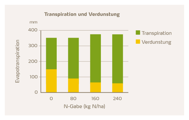 Transpiration und Verdunstung 