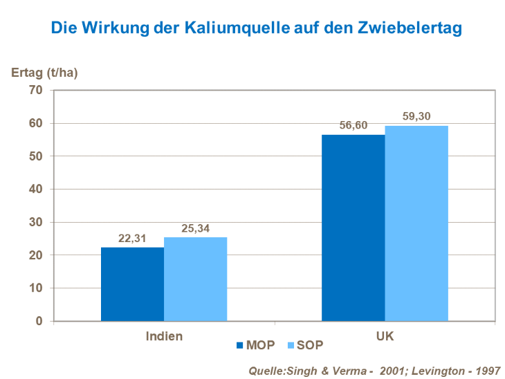 Die Wirkung der Kaliumquelle auf den Zwiebelertrag