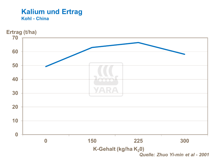 Kalium und Ertrag - Kohl China