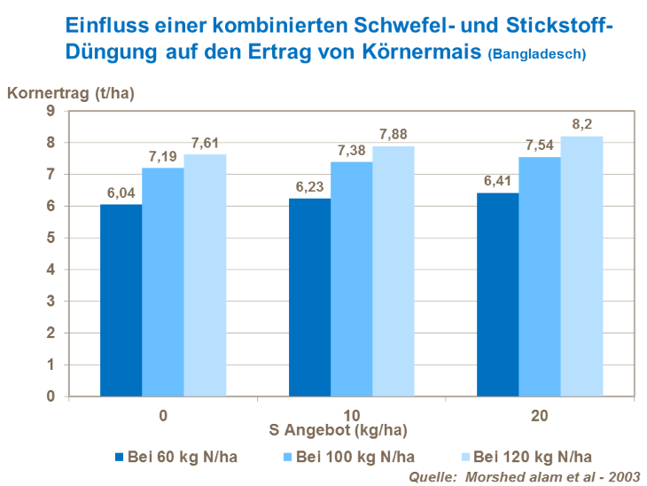 Einfluss einer kombinierten Schwefel- und Stickstoff-Düngung auf den Ertrag von Körnermais