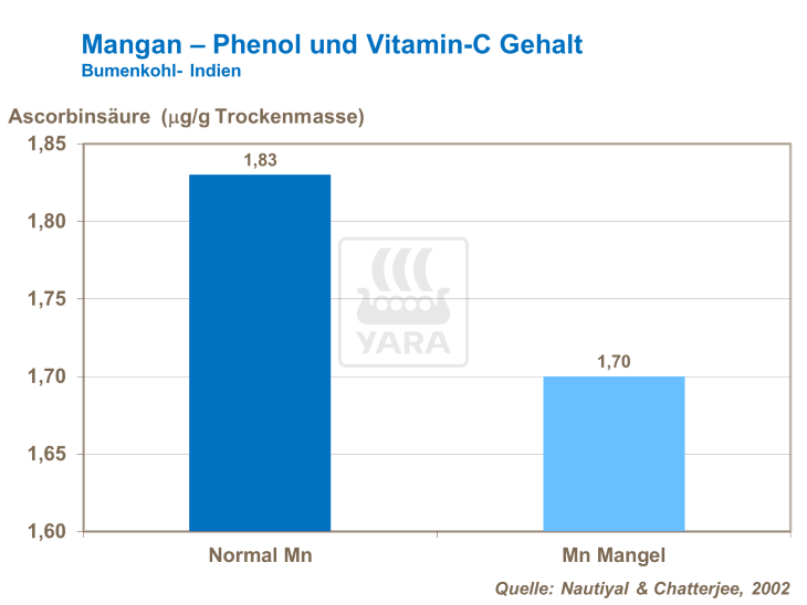 Mangan - Phenol und Vitamin-C Gehalt