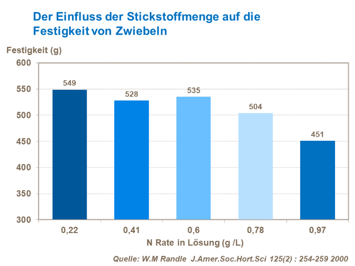 Der Einfluss der Stickstoffmenge auf die Festigkeit von Zwiebeln
