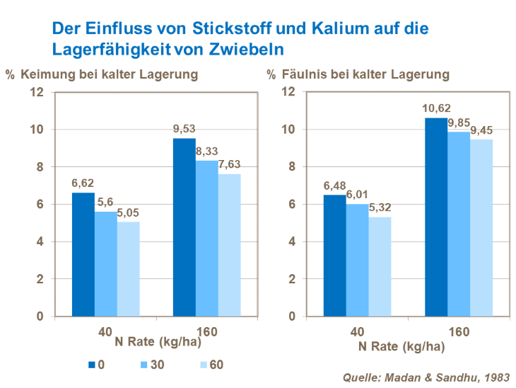 Der Einfluss von Stickstoff und Kalium auf die Lagerfähigkeit von Zwiebeln