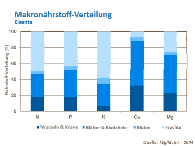 Haltbarkeit Erdbeeren 1.png