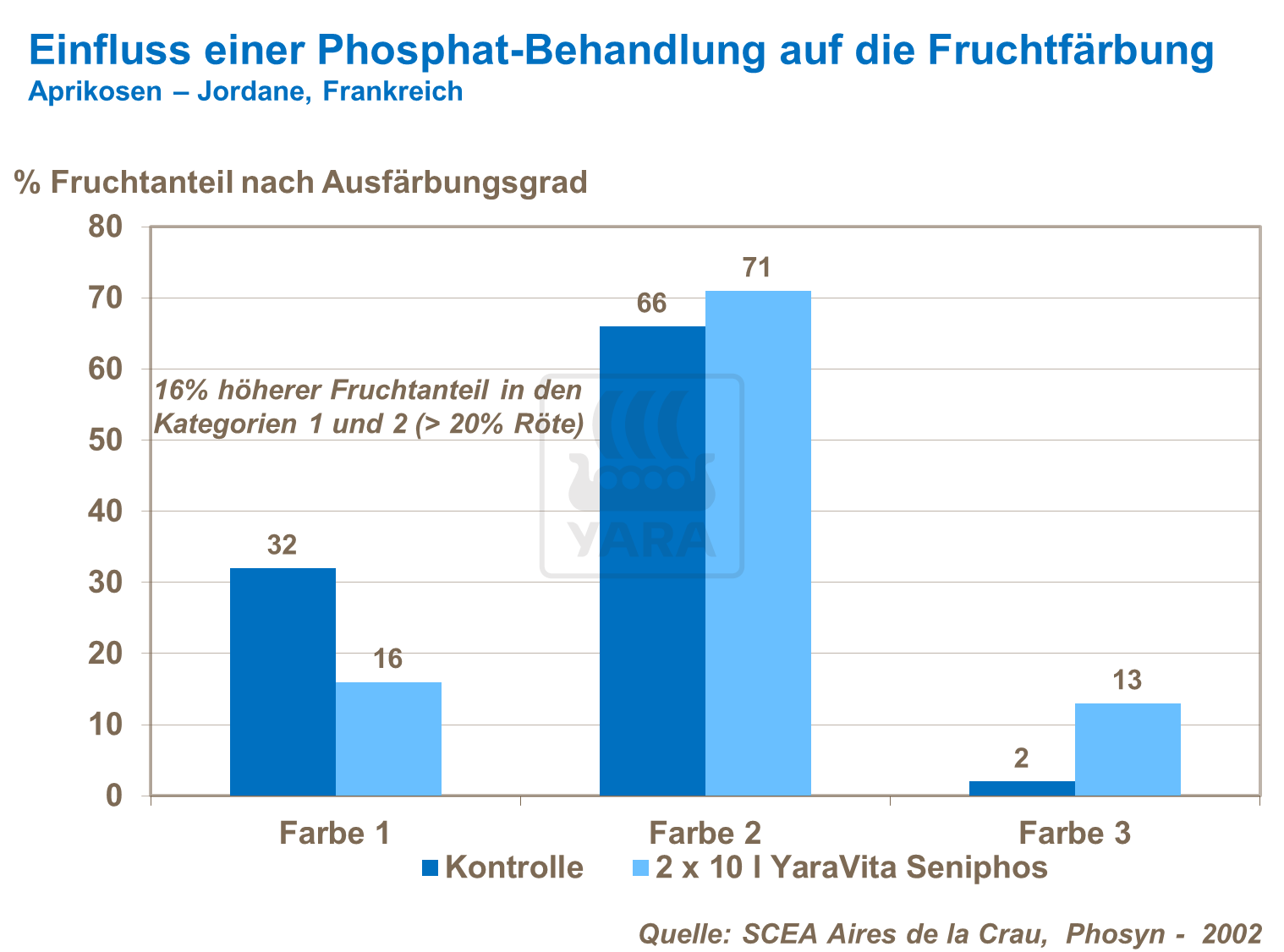 Einfluss einer Phosphat-Behandlung auf die Fruchtfärbung bei Aprikosen