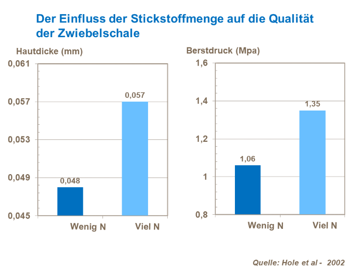 Der Einfluss der Stickstoffmenge auf die Qualität der Zwiebelschale