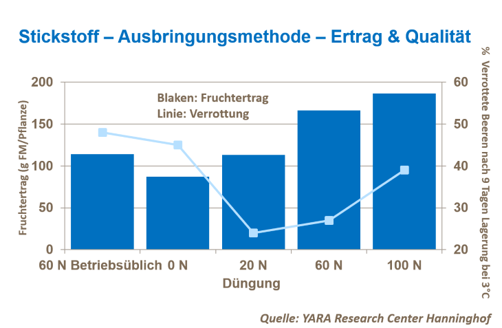 Erdbeerertrag erhöhen h.png