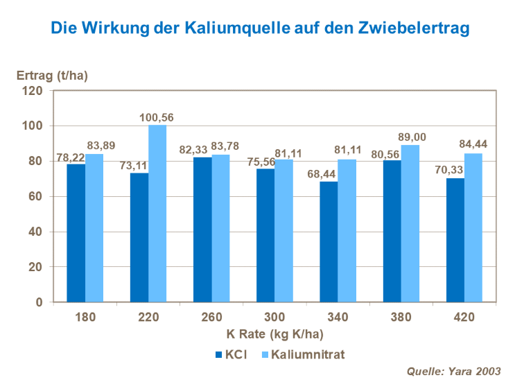 Die Wirkung der Kaliumquelle auf den Zwiebelertrag
