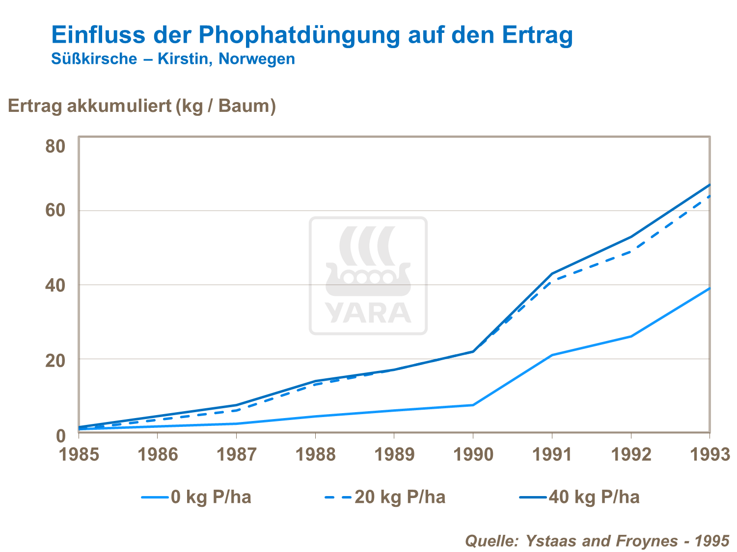 Einfluss der Phosphatdüngung auf den Ertrag bei Süßkirschen