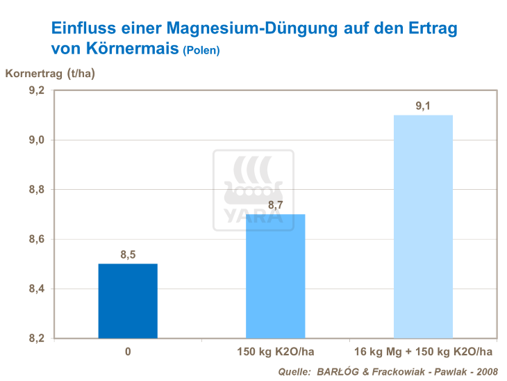 Einfluss einer Magnesium-Düngung auf den Ertrag von Körnermais (Polen)