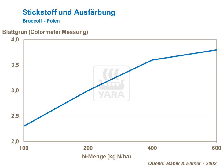 Stickstoff und Ausfärbung - Broccoli Polen