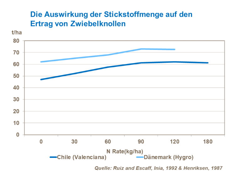 Die Auswirkung der Stickstoffmenge auf den Ertrag von Zwiebelknollen