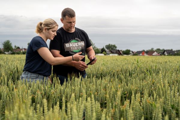 Lara Frenk Weizen klein.jpg