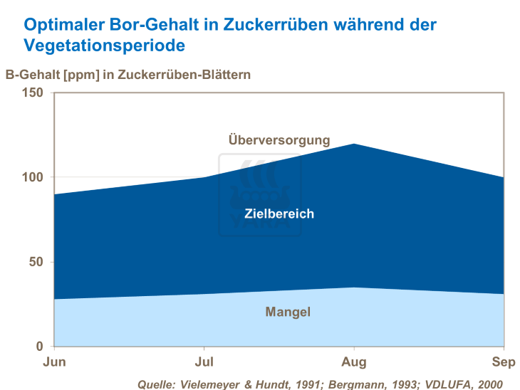 optimaler Bor-Gehalt in Zuckerrübe während der Vegetationsperiode 