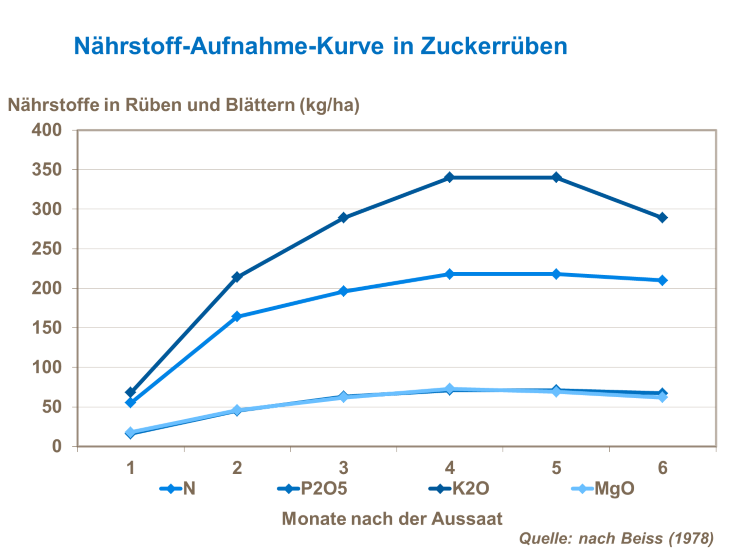 Nährstoff-Aufnahme-Kurve in Zuckerrüben
