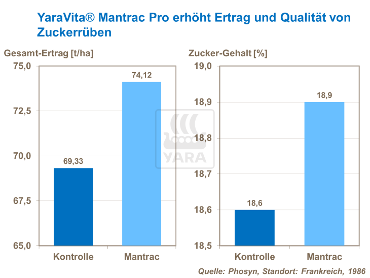 YaraVita Mantrac Pro erhöht Ertrag und Qualität von Zuckerrüben
