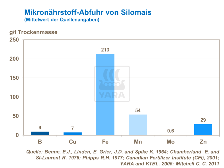 Mikronährstoff-Abfuhr von Silomais
