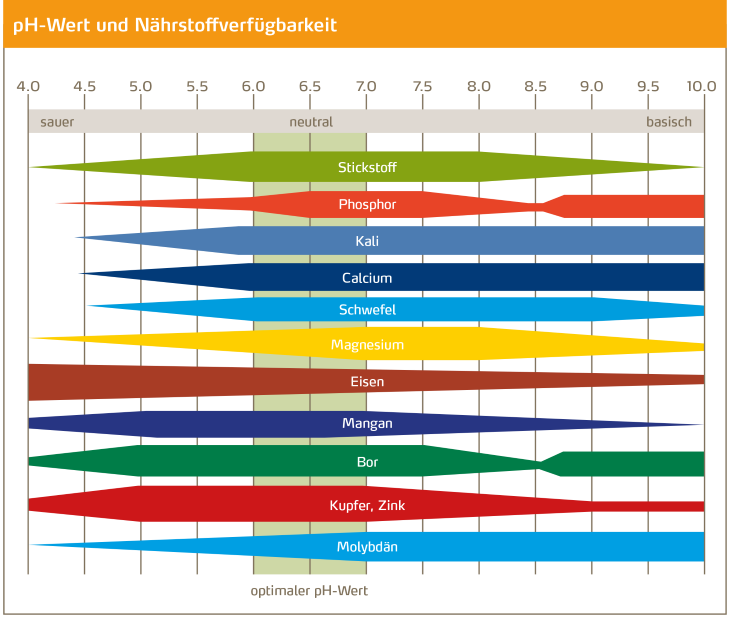 pH-Wert und Nährstoffverfügbarkeit