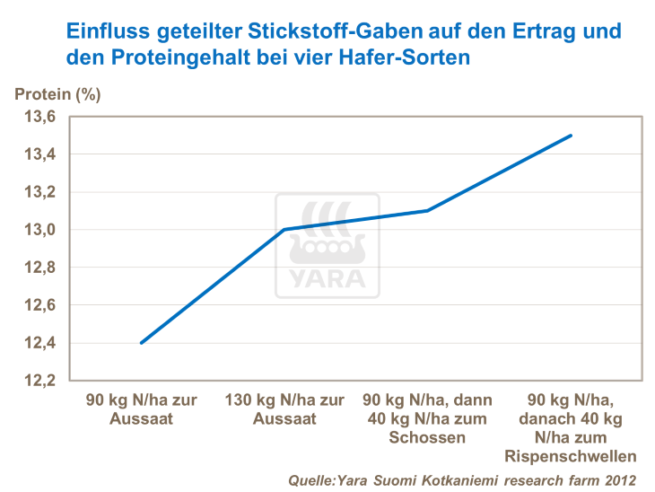 Einfluss geteilter Stickstoff-Gaben auf den Ertrag und den Proteingehalt bei vier Hafer-Sorten