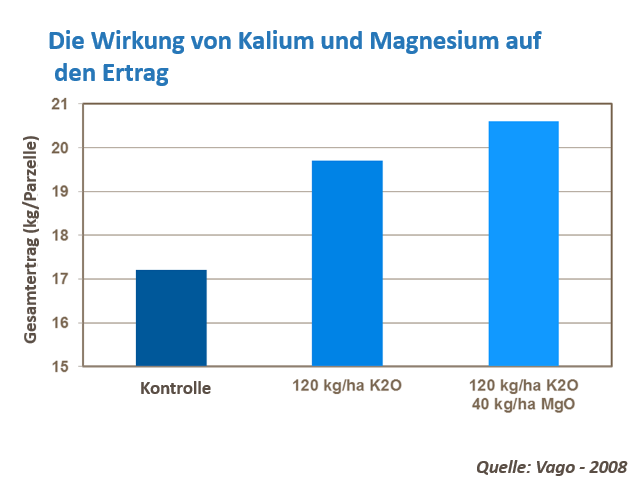 Erdbeerertrag erhöhen g.png