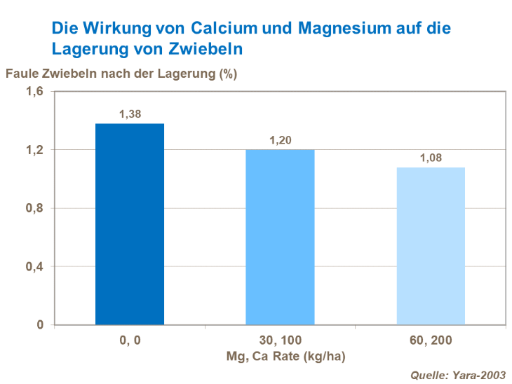 Die Wirkung von Zwiebeln und Magnesium auf die Lagerung von Zwiebeln
