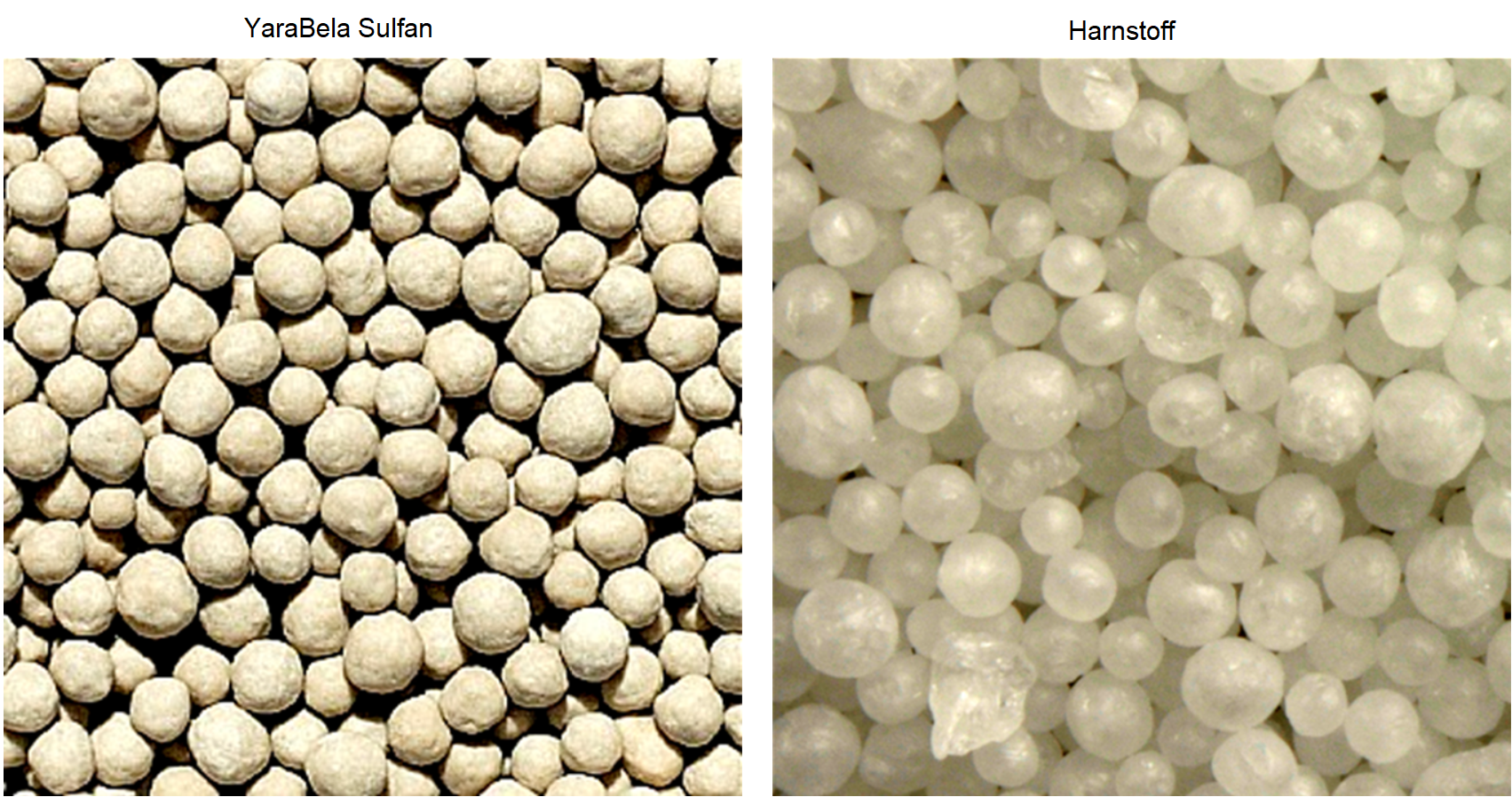 Qualitätsvergleich YaraBela Sulfan (KAS) und Harnstoff
