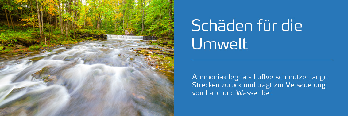 Ammoniak-Emissionen Schäden Umwelt