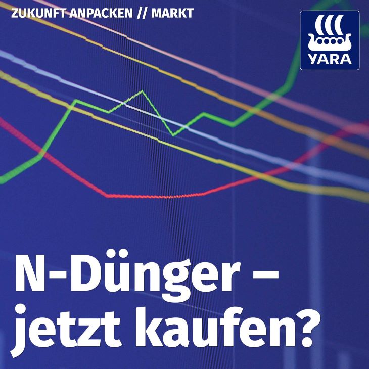 Titelbild Folge 12 N-D&uuml;nger jetzt kaufen?