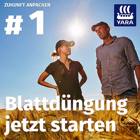 Episode1_Blattd&uuml;ngung-450px.jpg