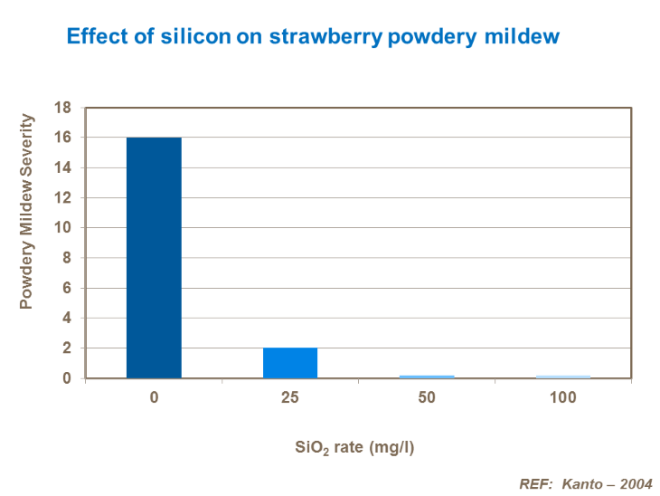 Effect of silicon on strawberry powdery mildew.PNG