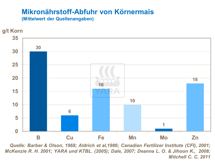 Mikronährstoff-Abfuhr von Körnermais