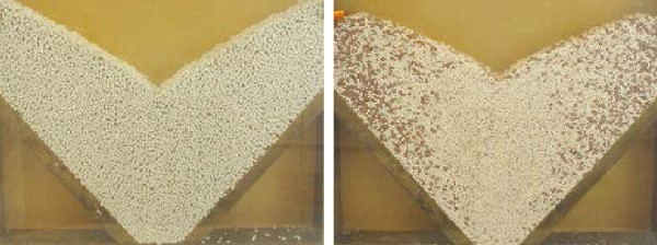 Abbildung 6: Keine Entmischung bei NPK-Volldüngern (links) im Vergleich zu NPK-Mischdüngern (rechts).