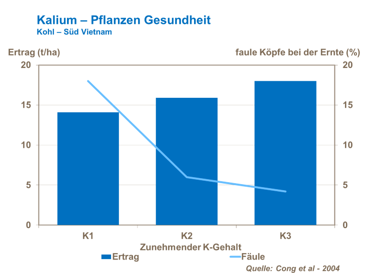  Kalium Pflanzen Gesundheit Kohl