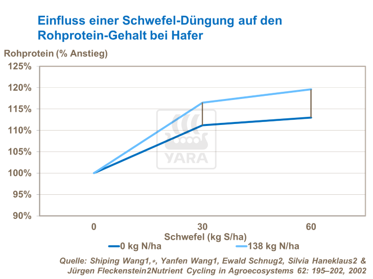 Einfluss einer Schwefel-Düngung auf den Rohprotein-Gehalt bei Hafer