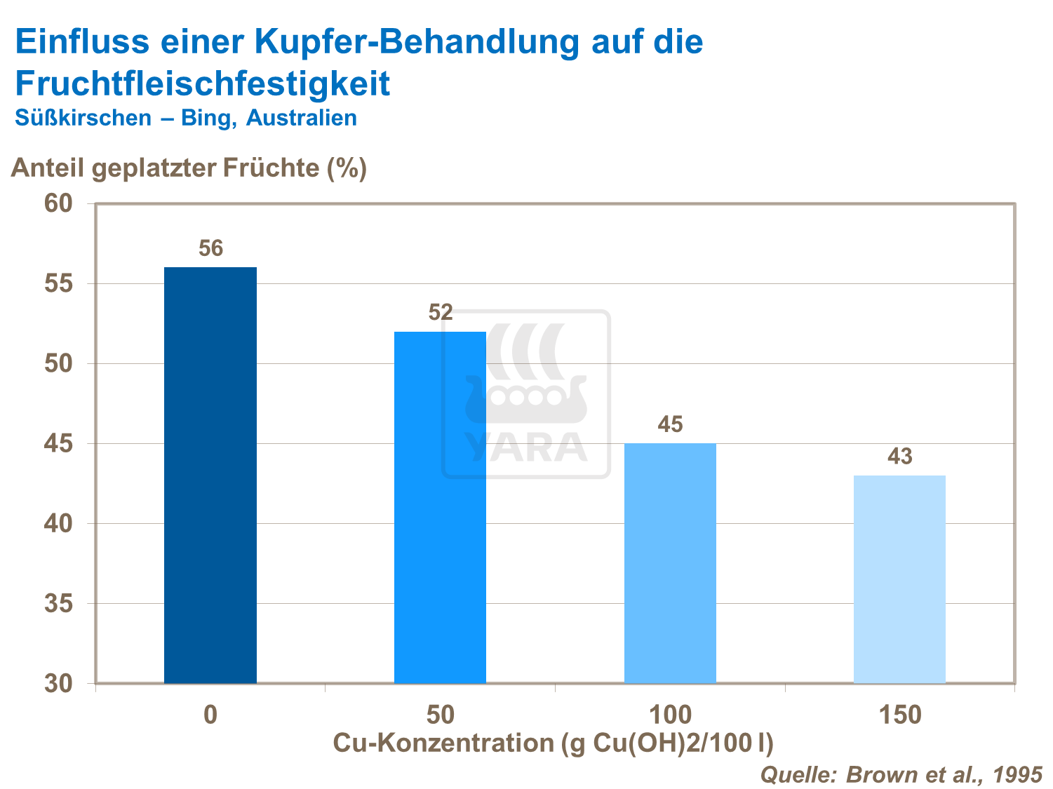 Einfluss einer Kupfer-Behandlung auf die Fruchtfleischfestigkeit (Süßkirschen)