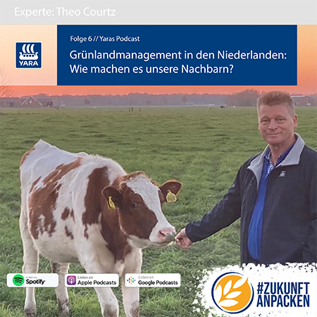 Podcast Grünlandmanagement in den Niederlanden