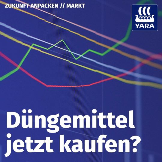 Podcast Markt Spezial