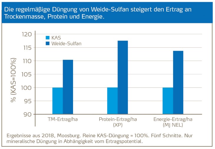Regelmäßige Weide-Sulfan Düngung