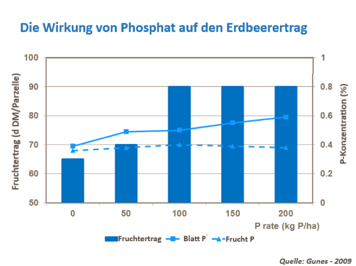Erdbeerertrag erhöhen.png