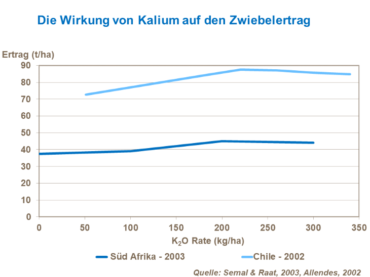 Die Wirkung von Kalium auf den Zwiebelertrag