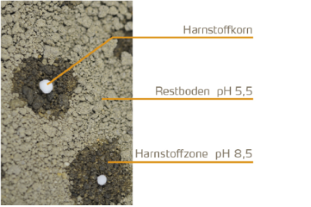 Stickstoff aus Harnstoff 