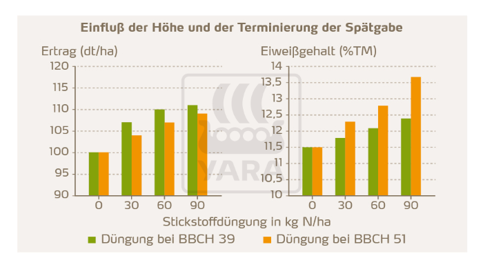 Einfluß der Höhe und der Terminierung der Spätgabe 