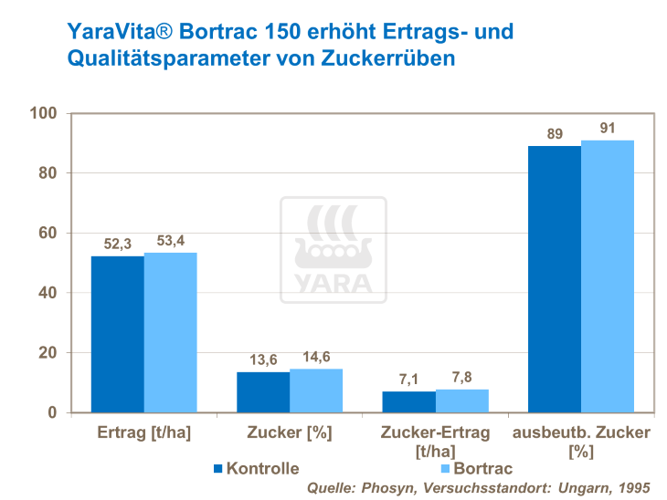 YaraVita Bortrac 150 erhöht Ertrags- und Qualitätsparameter von Zuckerrüben
