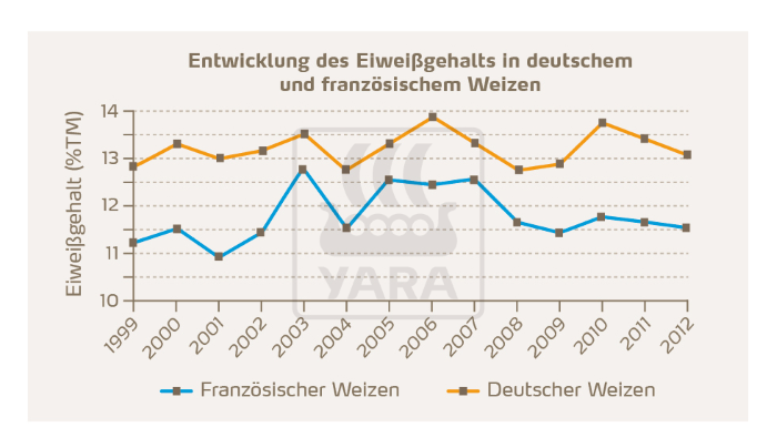 entwicklung des Eiweißgehaltes in deutschem und französichem Weizen