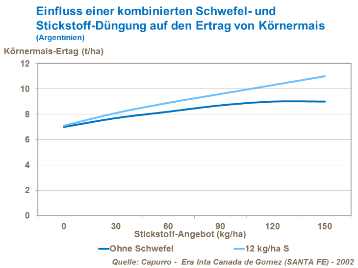 Einfluss einer kombinierten Schwefel- und Stickstoff-Düngung auf den Ertrag von Körnermais