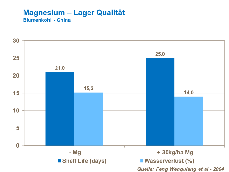 Magnesium - Lager Qualität