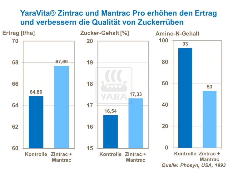 YaraVita Zintrac und Mantrac Pro erhöhen den Ertrag und verbessern die Qualität von Zuckerrüben
